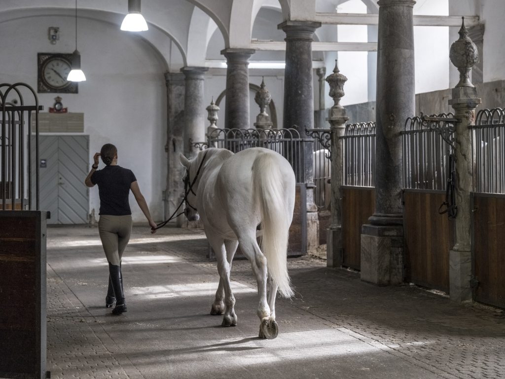 Rasmus_Hjortshoj__Christiansborg_Slot_WEB-110