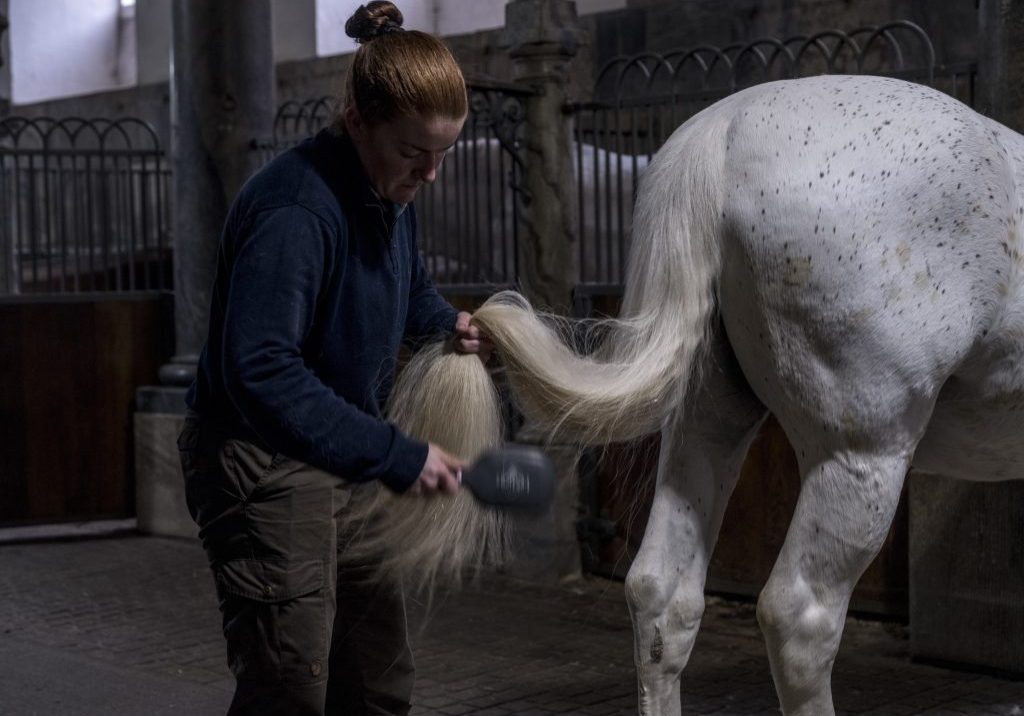 Rasmus_Hjortshoj__Christiansborg_Slot_WEB-84